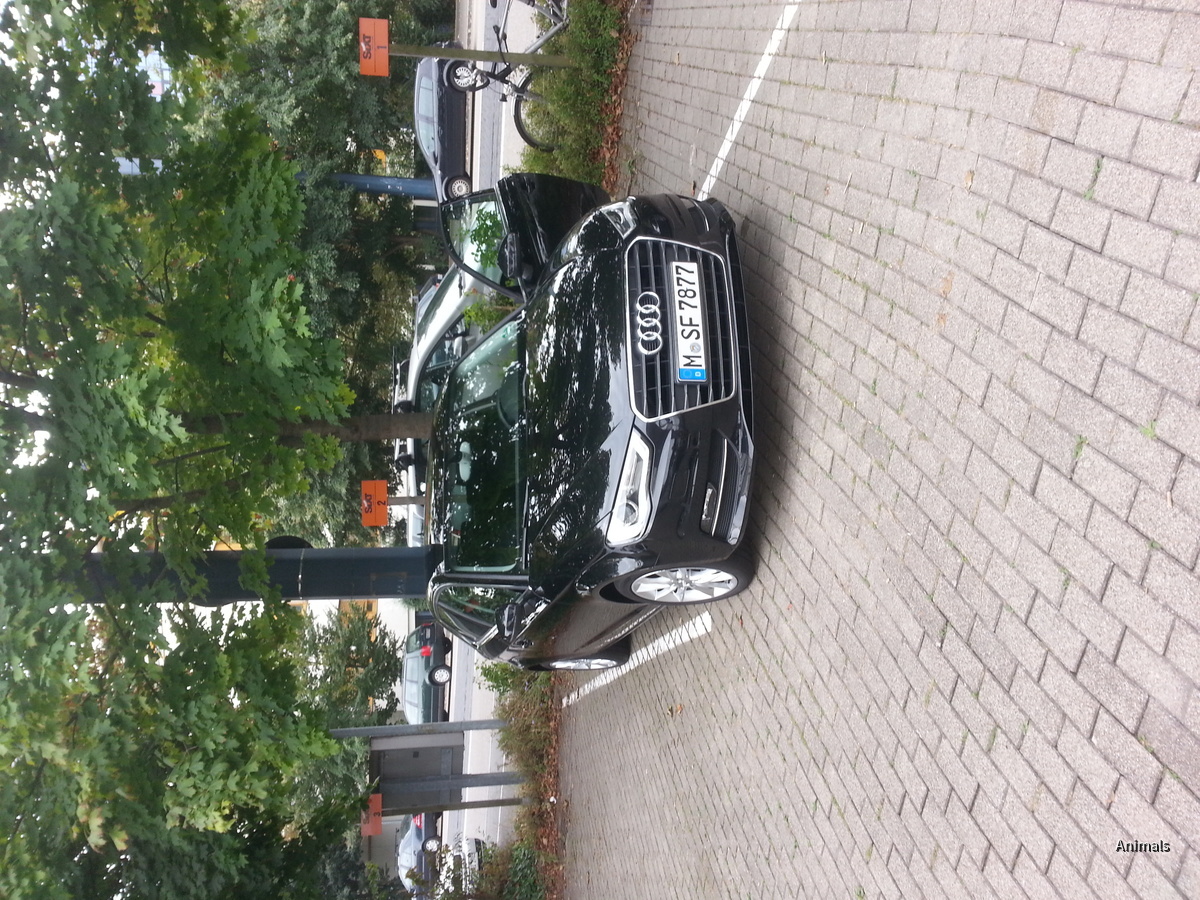 Sixt Audi A3 TDI