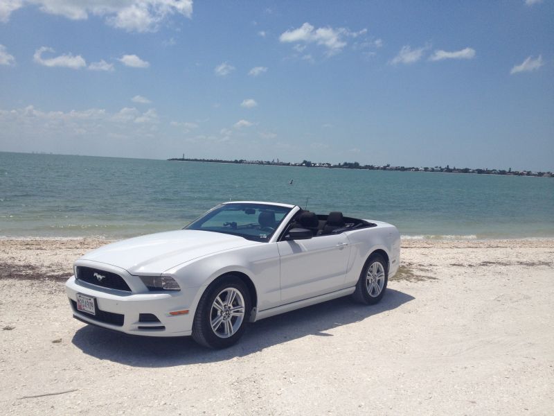 Florida 2014 Mustang Conv
