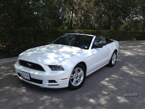 Florida 2014 Mustang Conv
