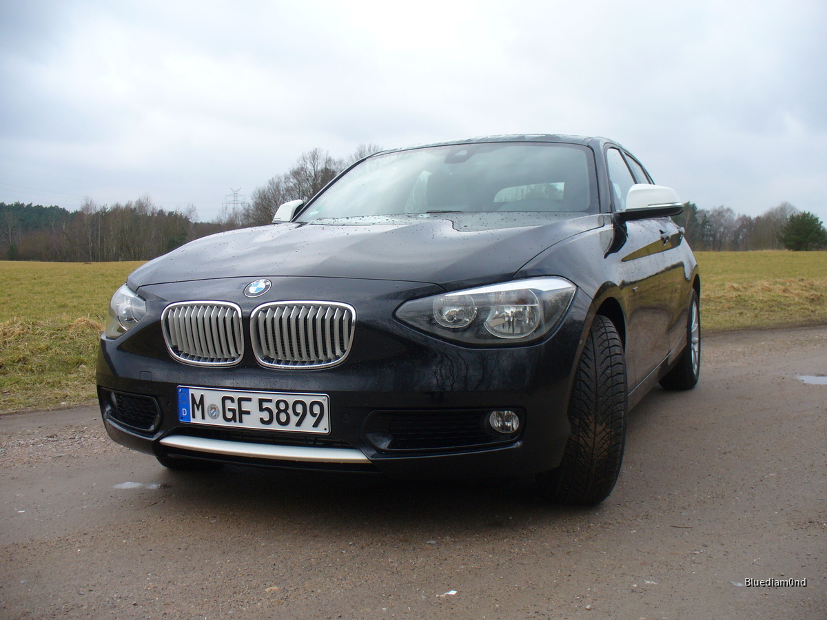 BMW_116d_[F20]_Front_1
