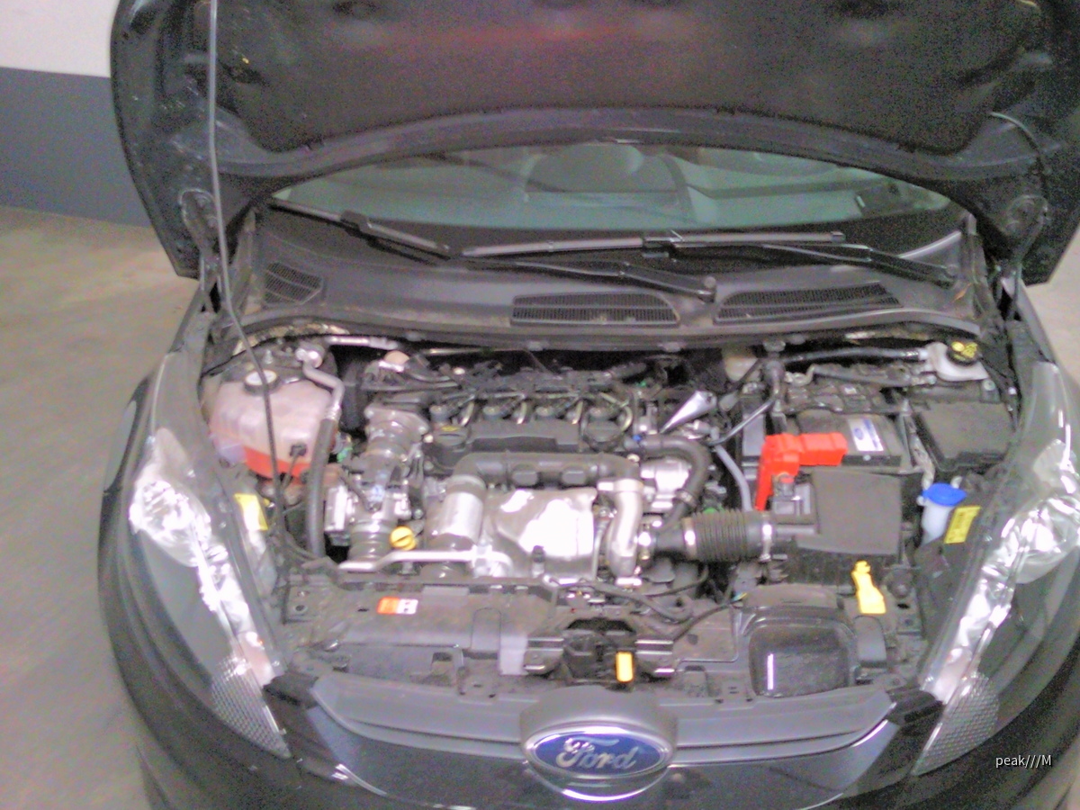 Fiesta 1.6 TDCi, 55 kW, 204 Nm