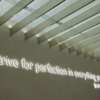 "Strive for perfection in everything you do."